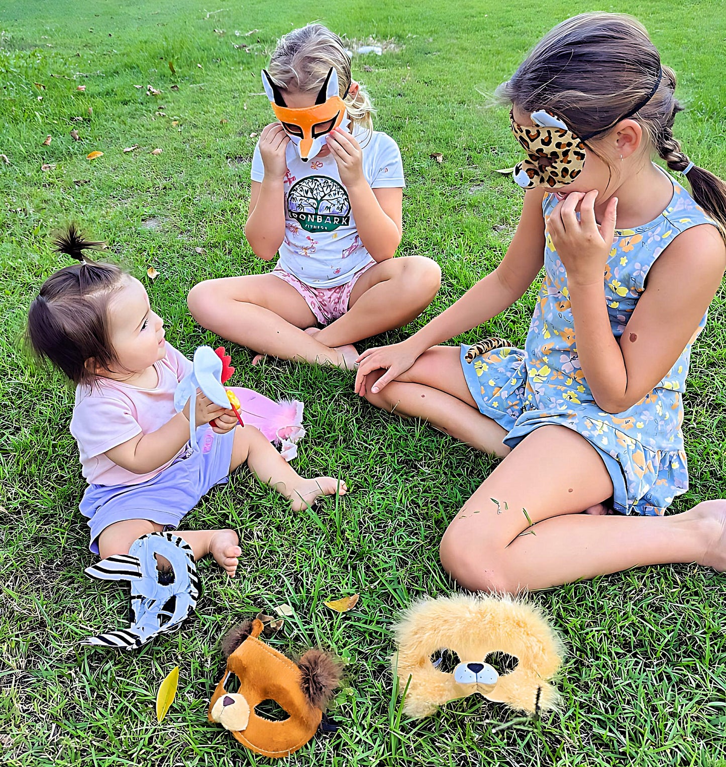 Story Book Classics - Wild Wonder Pack