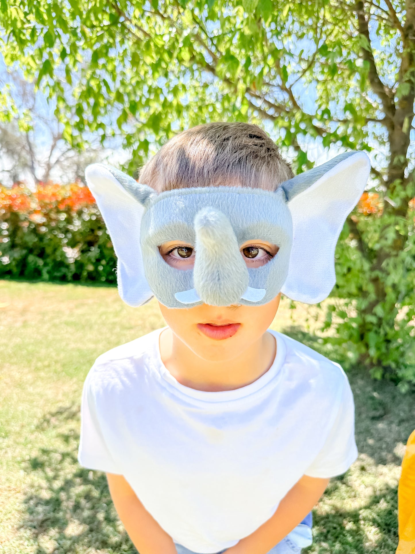 Story Book Classics - Wild Wonder Pack