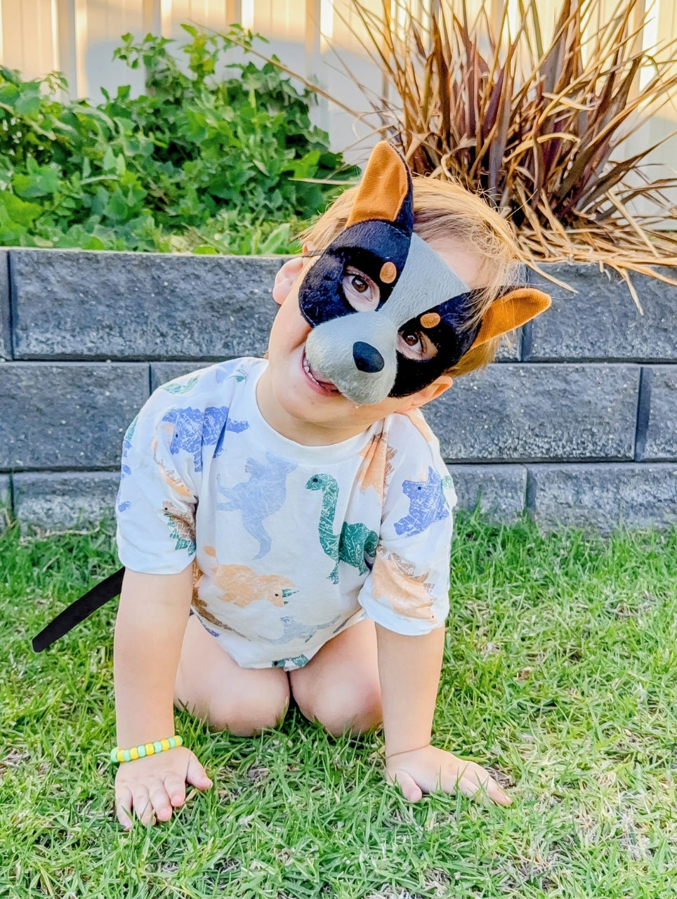 Aussie Animals - Wild Wonder Pack