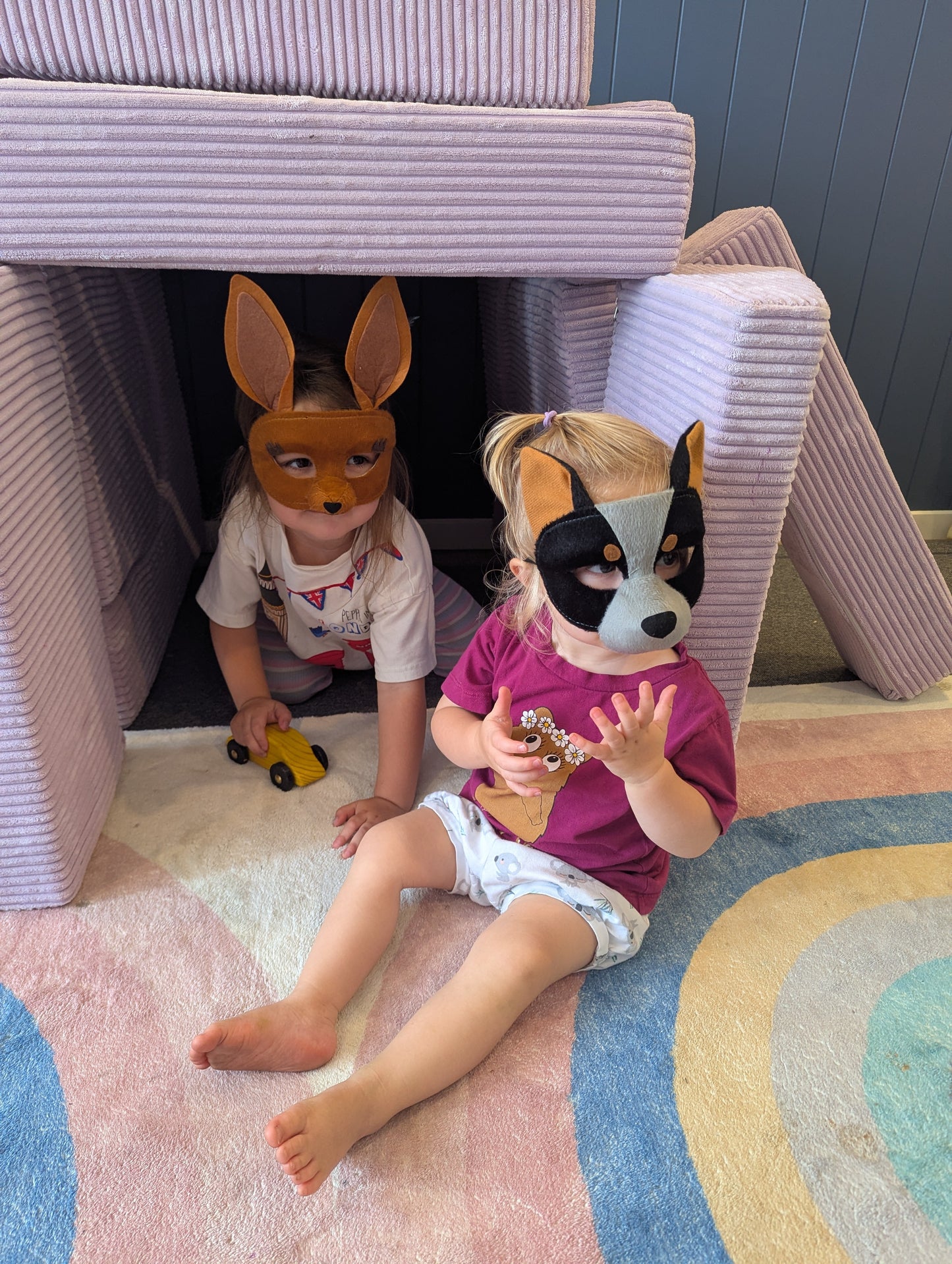 Perfect Pets - Wild Wonder Pack