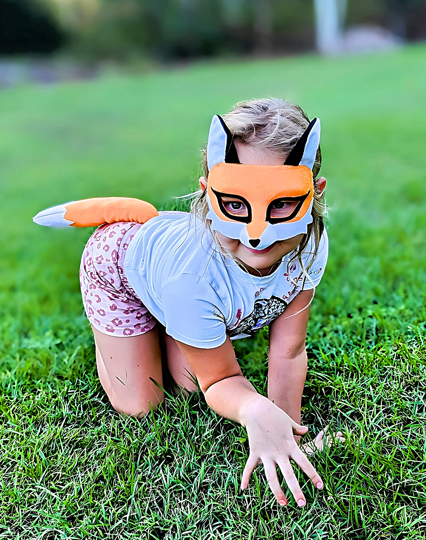 Story Book Classics - Wild Wonder Pack